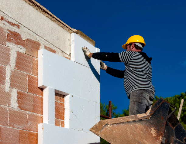 Best Spray Foam Insulation  in Brillion, WI