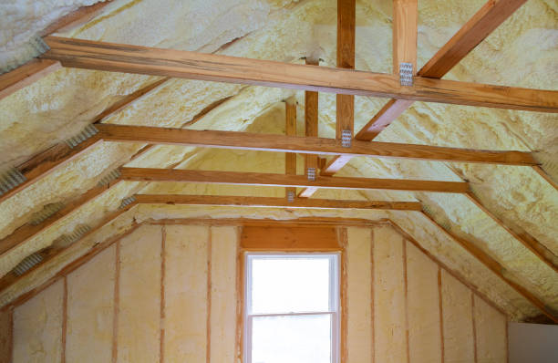 Best Soundproof Insulation Installation  in Brillion, WI