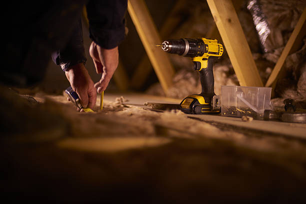 Best Home Insulation Services  in Brillion, WI