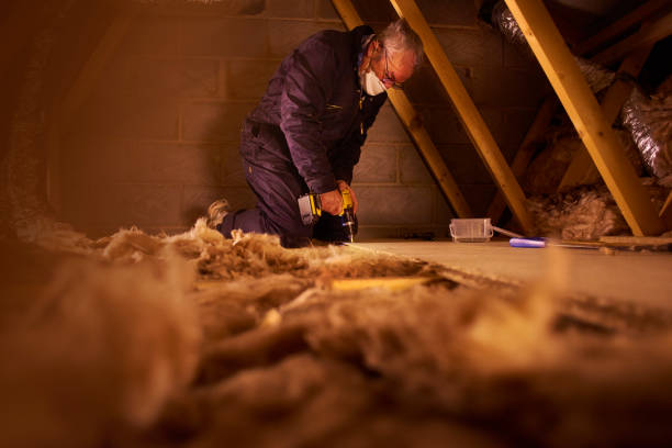 Best Home Insulation Services  in Brillion, WI